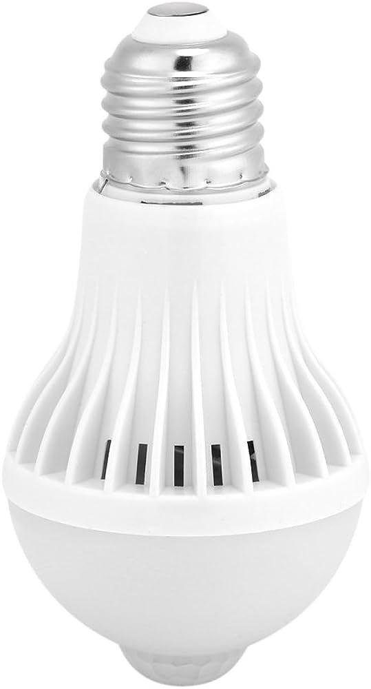 motion detection light